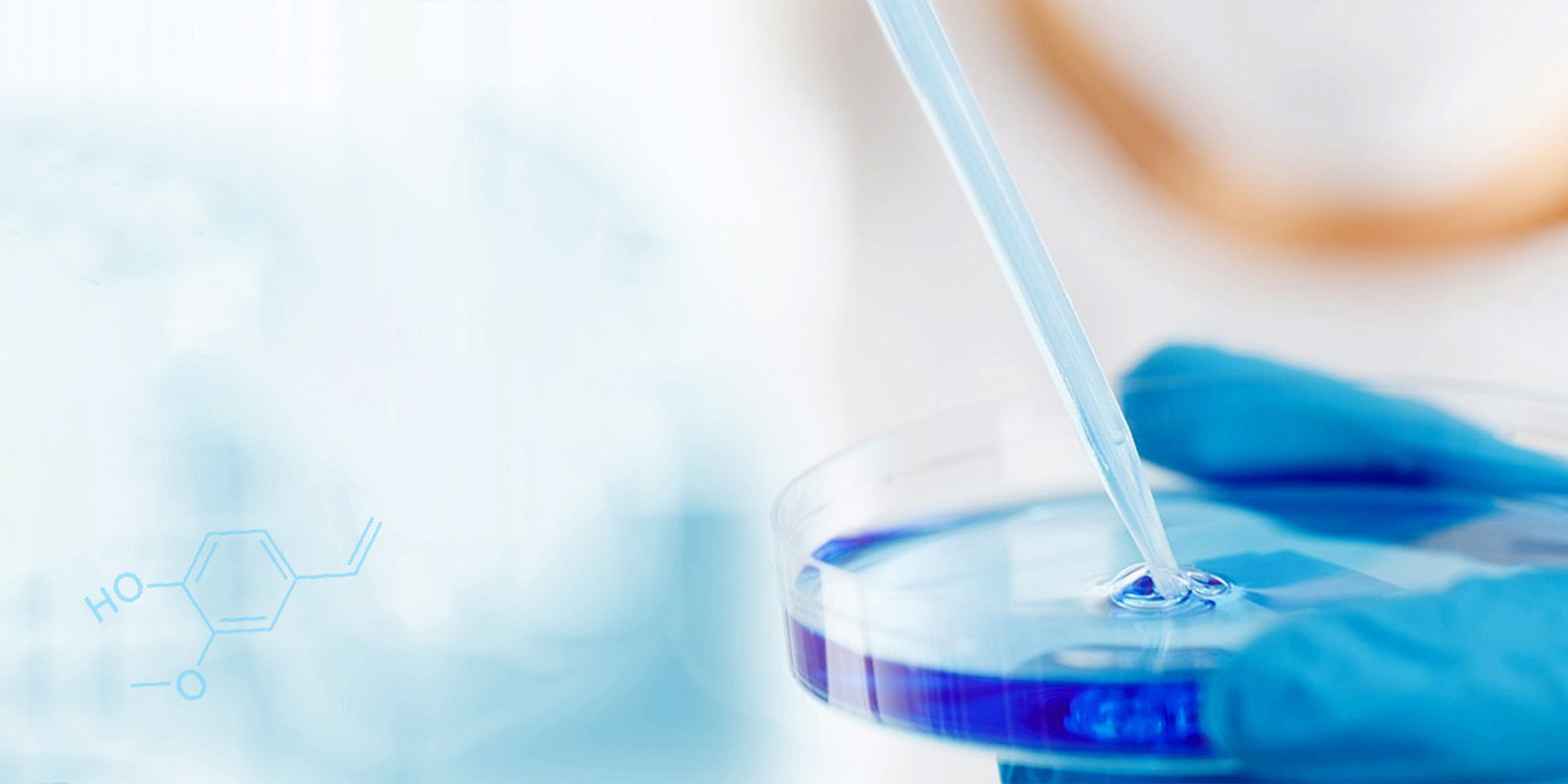 邢臺(tái)鑫藍(lán)星科技有限公司